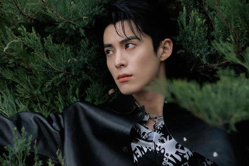 明星娱乐爆料王鹤棣是哪一期,王鹤棣惊喜亮相，揭秘哪一期精彩瞬间  第2张